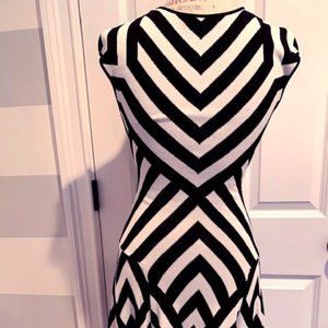 RVN Graphic Stripe Flare Dress